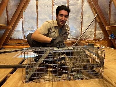 South Bend pest control